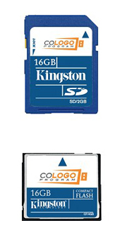 Kingston Flash Cards